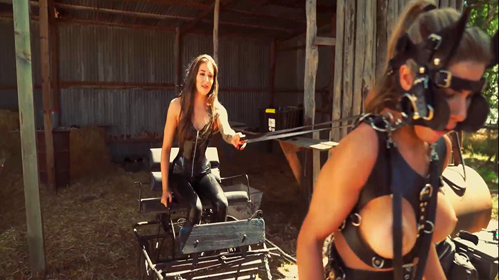 欧美FEMDOM主题农场